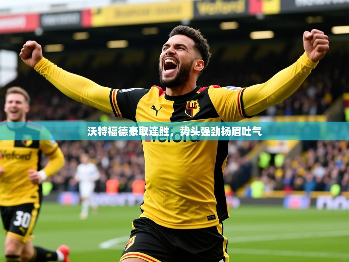 2026 ag娱乐传媒沃特福德豪取连胜，势头强劲扬眉吐气  第3张