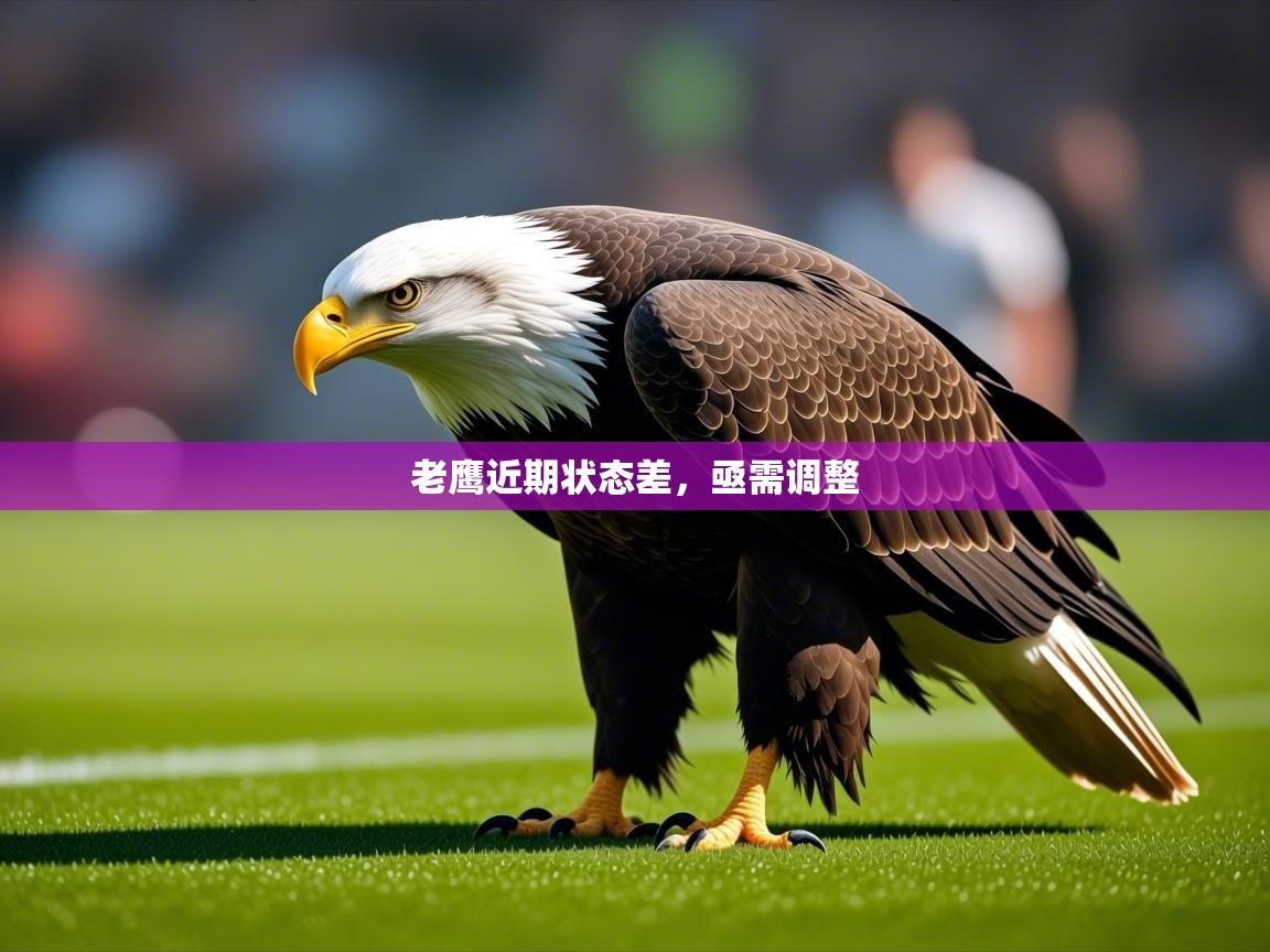 2026 ag娱乐传媒老鹰近期状态差，亟需调整  第1张