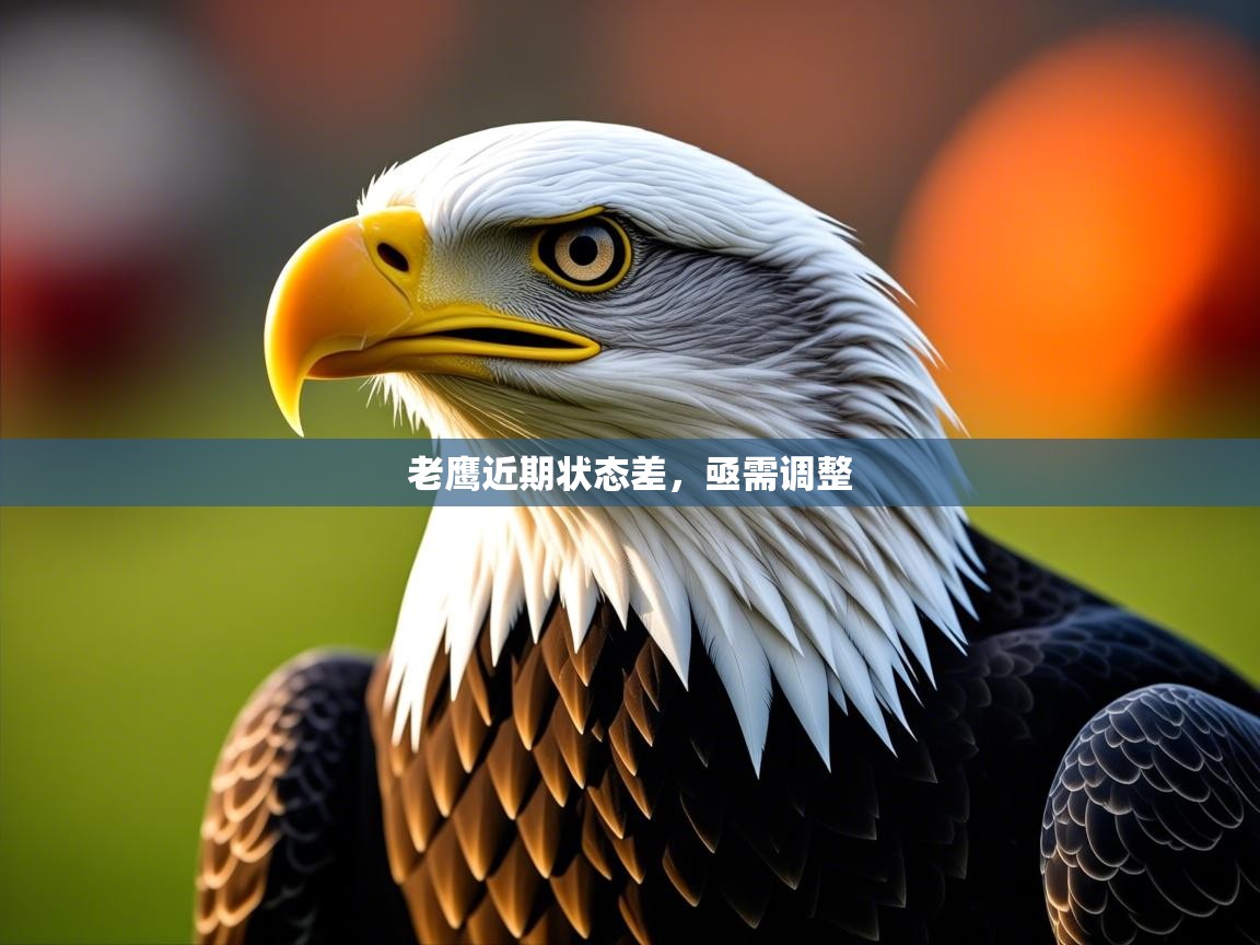 2026 ag娱乐传媒老鹰近期状态差，亟需调整  第3张